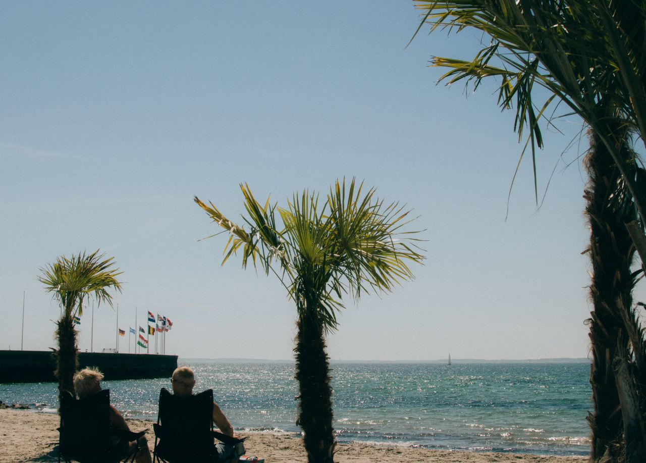 hero-homepage Elderly couple enjoys a sunny day at Helsingborg beach with palm trees and ocean view.